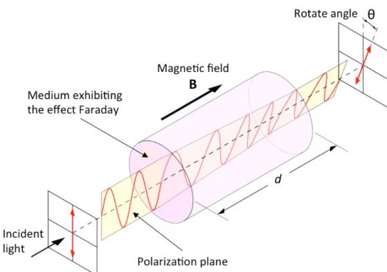 Figura 1.11: Effetto di rotazione, da parte di un plasma magnetizzato, sul vettore polarizzazione (Credits: Wikipedia).