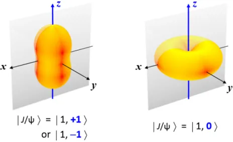 Figure 1.11: Angular distributions of the leptonic pair in a quarkonium→ ` + ` − decay, for respectively transverse and longitudinal polarization.