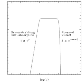 Figura 1.3: Tipica distribuzione spettrale di radiazione di Bremsstrahlung autoassorbita