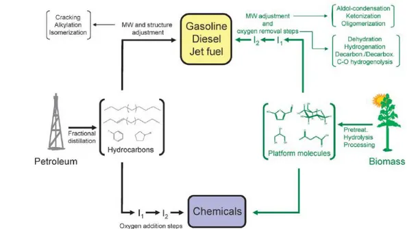 Figura 1.1 Potenzialità delle biomasse nell’industria chimica. 7 