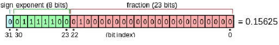 Figura 1 Rappresentazione di un numero floating point a 32 bit (5) 
