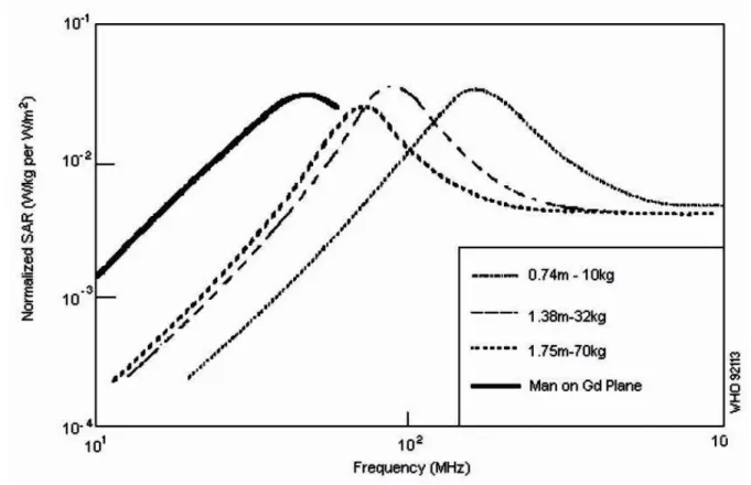 Figura 4. Andamento del SAR in funzione della frequenza e morfologia del soggetto esposto.