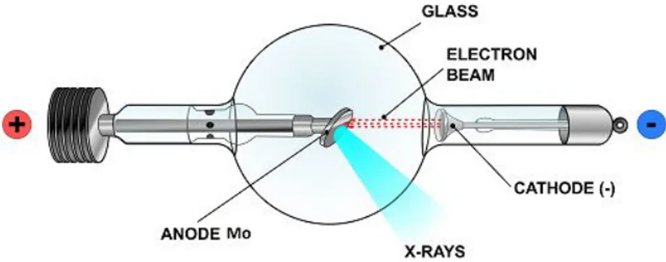 Figura 2.7: Schema di un tubo a raggi X il cui metallo bersaglio ` e costituito da molibdeno.