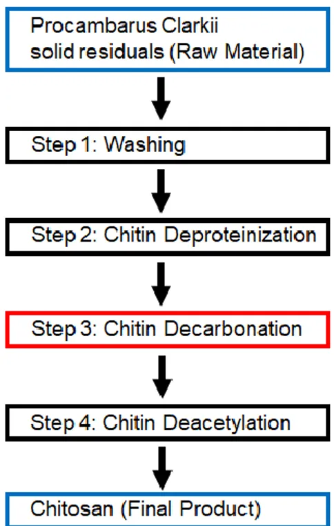 Figure 2.1 – Schematization of the production of chitosan from Procambarus Clarkii solid residuals 