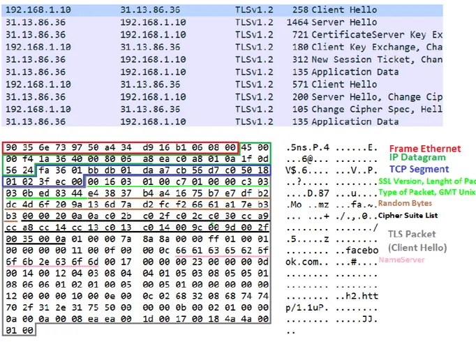 Figura 1.1: Immagine di cattura pacchetti mediante Wireshark, in alto il flusso di dati in ingresso ed in uscita nei confronti dell’IP 192.168.1.10 durante un handshake TLS, in basso la struttura del pacchetto Client Hello di presentazione del client in qu