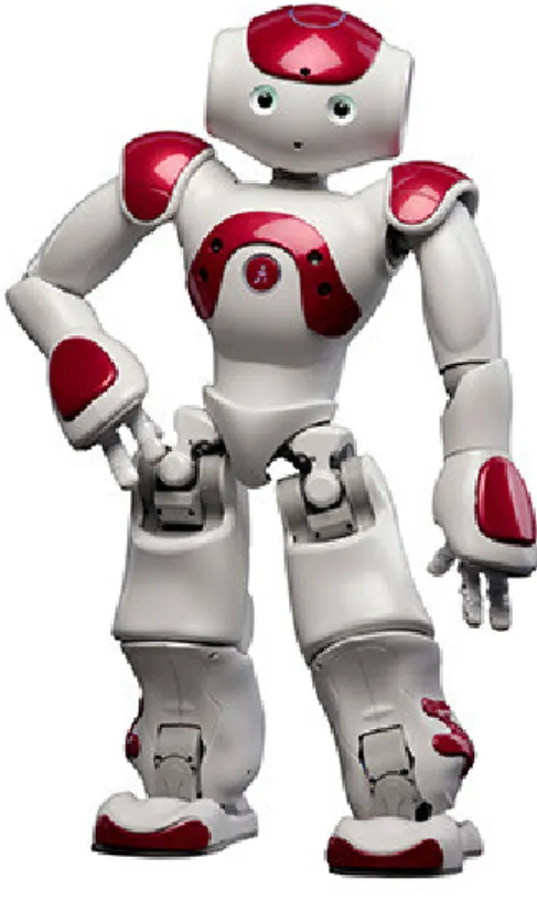 Figura 1: Nao robot