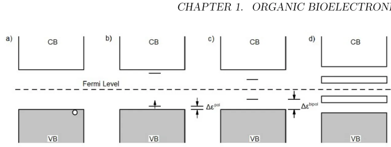 Figure 1.3: Alteration of the band structure of a polymeric chain in case of formation of: (a) delocalized hole, (b) a polaron, (c) a bipolaron and (d) a bipolaron bands in high doping condition.