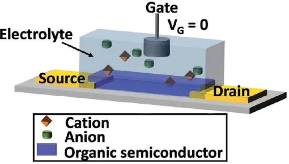 Figure 3.1: Schematic representation of an OECT. It is possible to see the three electrodes (Gate, Source and Drain) and the polymeric channel