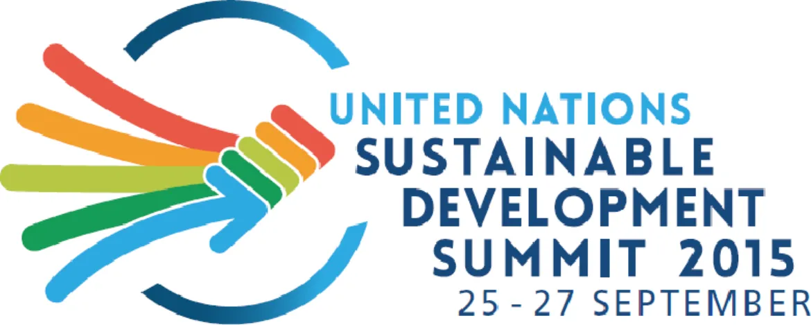 Figura 1: Summit 2015 delle Nazioni Unite sullo Sviluppo Sostenibile. 