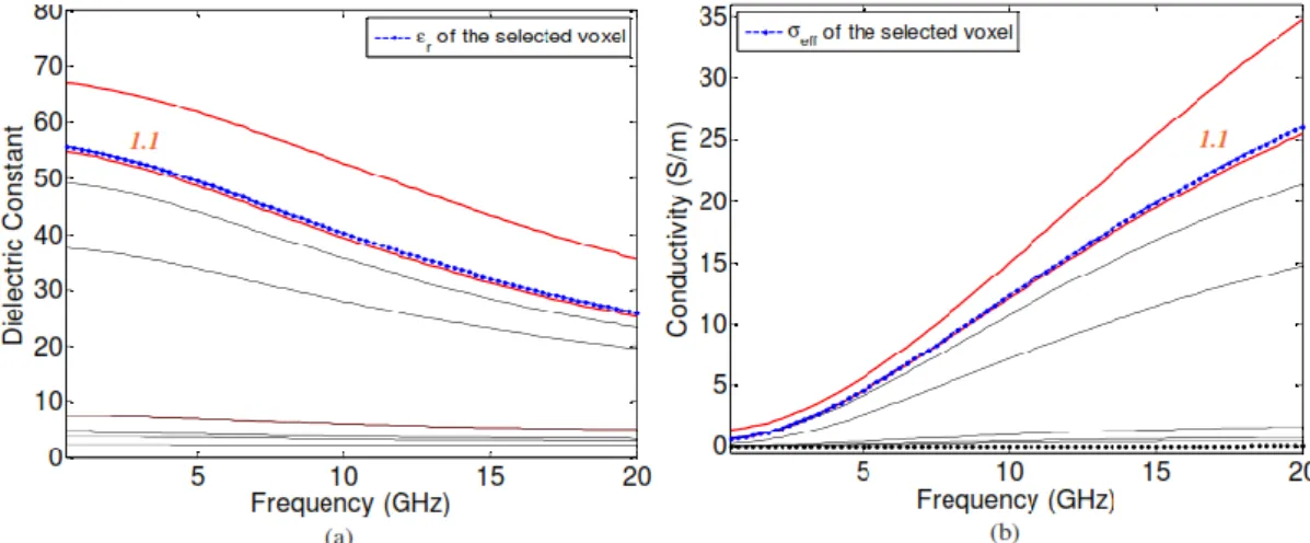 Figura 2.3 -  Permittività dielettrica (a) e conducibilità (b) dei tessuti biologici in funzione della frequenza 