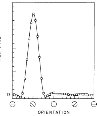 Figura 1.4: Esempio di curva di risposta di un neurone soggetto a stimoli provenienti da diversi orientamenti in ambiente circolare