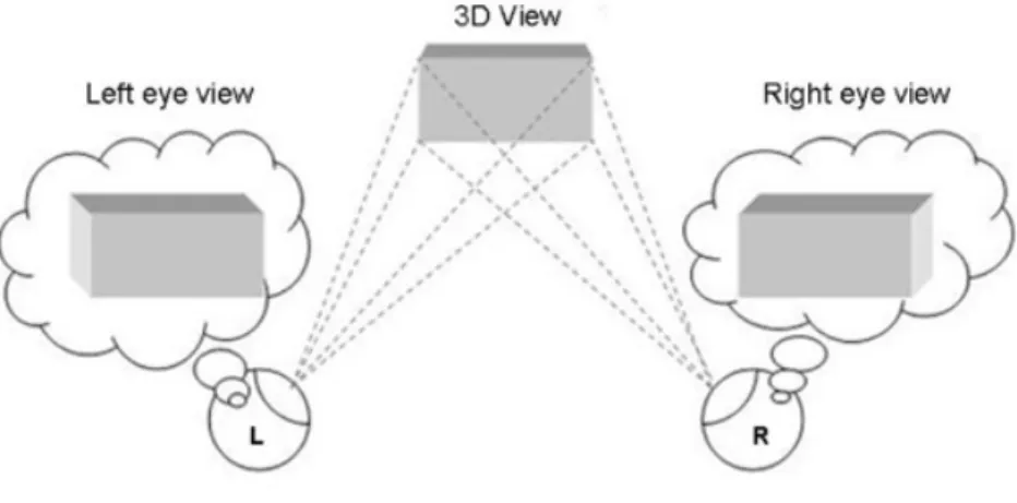 Figura 1.1: Immagine tridimensionale 1