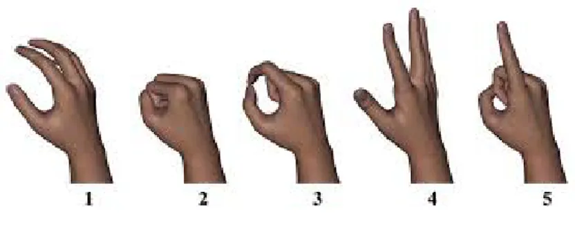 Figure 1.6: The five hand gestures: rest (1), fist (2), pinch (3), spread (4), pointing (5)