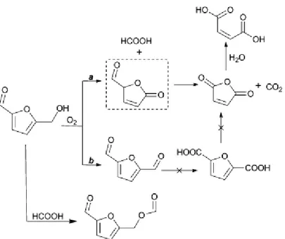 figura 1.12 Meccanismo di reazione per la sintesi in fase liquida di AM da HMF. 