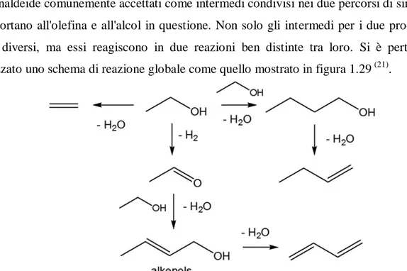 figura 1.29 Nuovo meccanismo di reazione per la  trasformazione di etanolo in composti C 4  (22) 