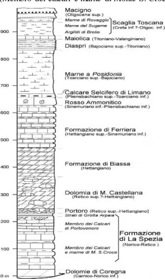 Figura 6.  Colonna litostratigrafica  riassuntiva  delle unità della  Falda Toscana (Abbate et al.,  2005)