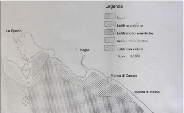 Figura 7.  Carta della distribuzione dei sedimenti (da Fanucci et al., 1973,  modificato)
