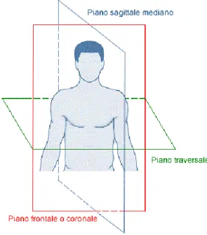Figura 5.  Piani principali del corpo 