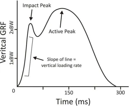 Figura 9.  Grafico della forza di reazione al suolo verticale (GRFv) in funzione del tempo.