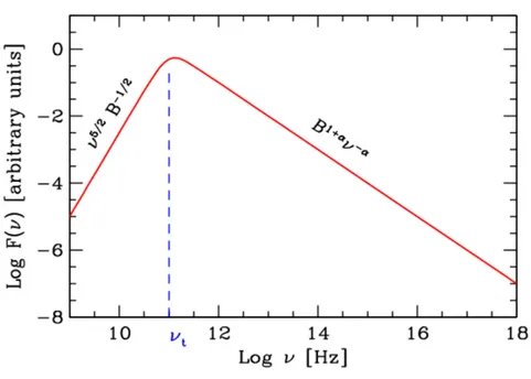 Figura 1.3: Spettro di sincrotrone autoassorbito tratto da Ghisellini [2013].