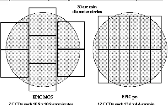 Figura 2.5: Disposizione geometrica e dimensione dei CCD per i MOS e per il pn. In scuro è rappresentato il campo di vista (30 0 di diametro).