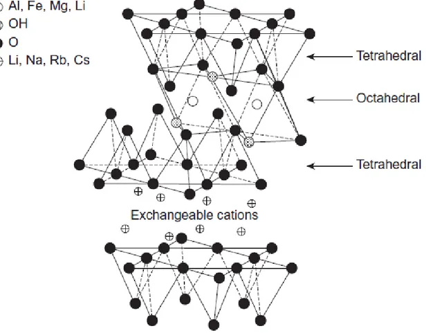 Figure 1.4 Sheet- like montmorillonite structure [17]. 