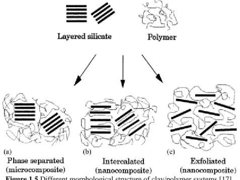Figure 1.5 Different morphological structure of clay/polymer systems [17]. 