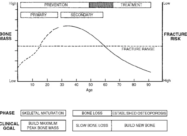 Fig. 5 - Diagram illustrating the course of bone gain and loss throughout life and  fracture  risk