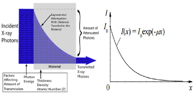 Fig. 10 - Dependence of X-ray radiation intensity on absorber thickness in case of  a monochromatic X-ray beam (NDT Resource Center) 