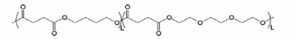 Figura 1.20: Struttura chimica del PBSPTES. “L” indica la lunghezza della sequenza (blocco)  di BS e di TES