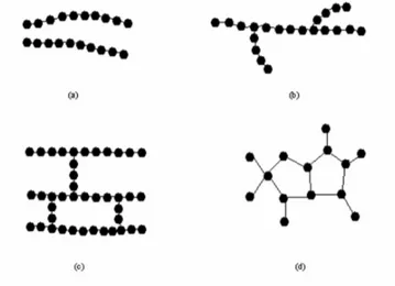 Figura 1.1: Strutture molecolari dei polimeri. Tratta da: P. Anadão, Polymer/ Clay  Nanocomposites: Concepts, Researches, Applications and Trends for The Future, 