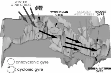 Figure 1.3: Schematic of the wind-driven circulation in wintertime conditions. The thick arrows indicate the direction of winter surface wind stress field