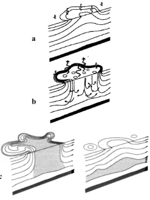 Figure 1.6: Schematic diagram of the three phases of open ocean deep convection: (a) precondi- precondi-tioning, (b) deep convection, and (c) lateral exchange and spreading