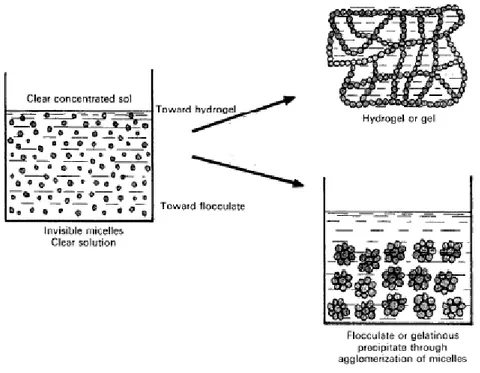 Figure 2.4: schematic mechanism of flocculation and gelation 3