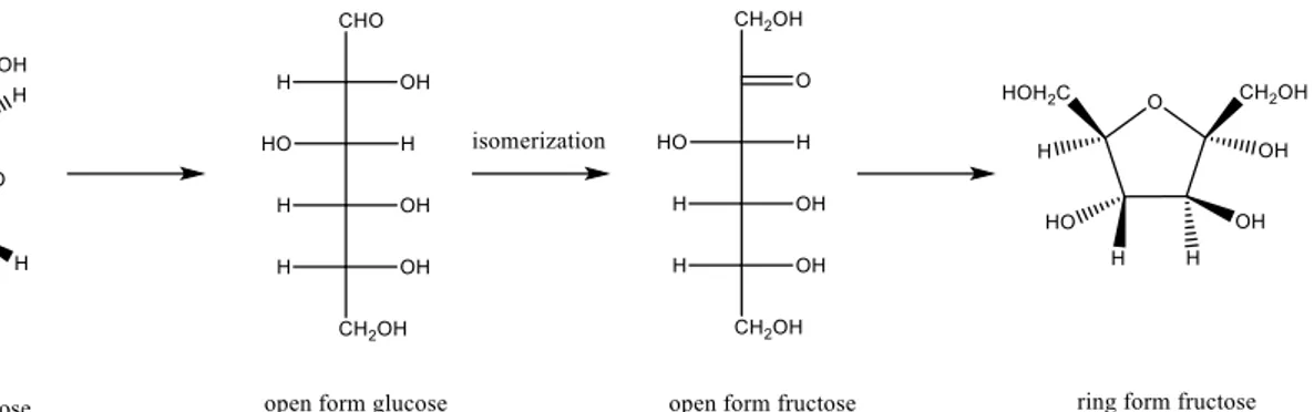 Figure 2.9: glucose-fructose isomerisation 