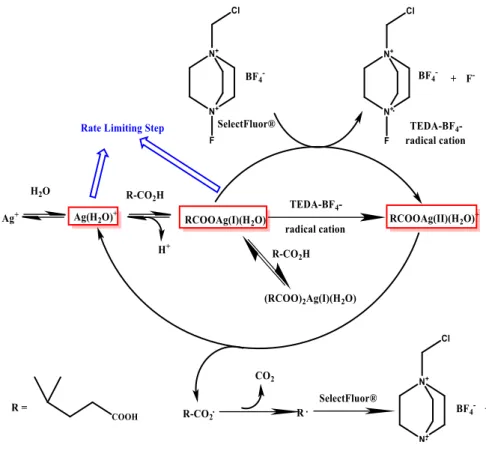 Figure 2.15: mechanism of Fluorination Reaction for 2,2 Dimethyl glutaric acid by computational work of  X.Zhan 24