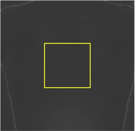 Figure 3.5: The ROI selected for the noise measurement on the ClinQC normalized noise image.