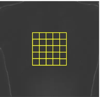 Figure 3.6: An example of the sampling grid that can be used to improve the ClinQC noise extraction algorithm.