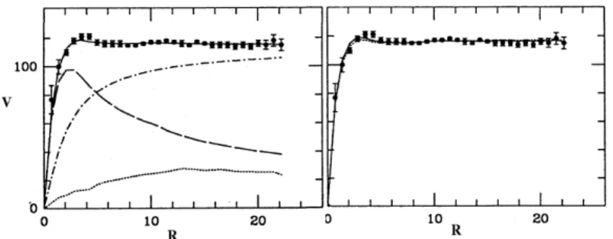 Figura 2.2: Fit della RC della galassia NGC 6503. A sinistra, la curva continua rap- rap-presenta il fit con tre parametri liberi del modello CDM: componente stellare (curva punteggiata), componente gassosa (curva tratteggiata), alone oscuro (curva  punto-