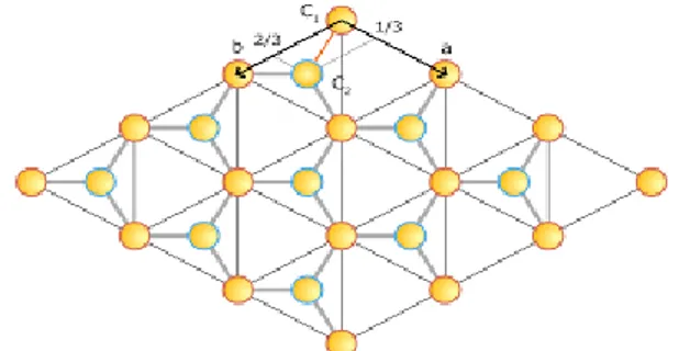Fig. 1.5: Struttura reticolare del grafene. C1 e C2 sono i due atomi che formano la base, mentre gli atomi  contornati di rosso e quelli contornati di blu formano i due reticoli di Bravais che si compenetrano