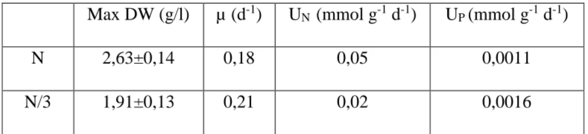 Tab. 1 Valori di: peso secco (DW), tasso di crescita (µ) e velocità di uptake di azoto  (U N ) e fosforo (U P ) nelle colture N ed N/3 