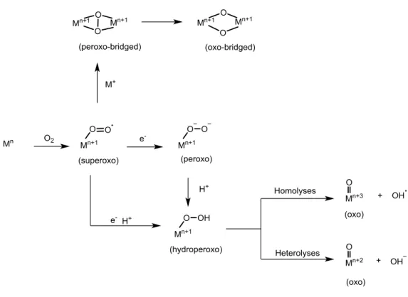 Figure 1. Dioxygen activation and generation of high-valent intermediates in enzymatic oxidation 