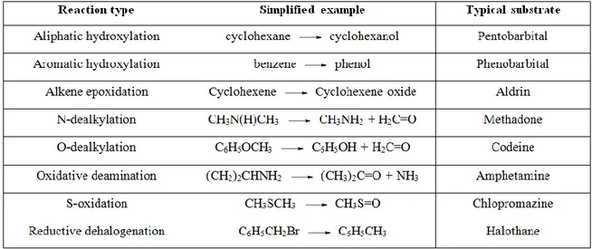 Table 1. Major types of reactions catalyzed by cytochromes P450 