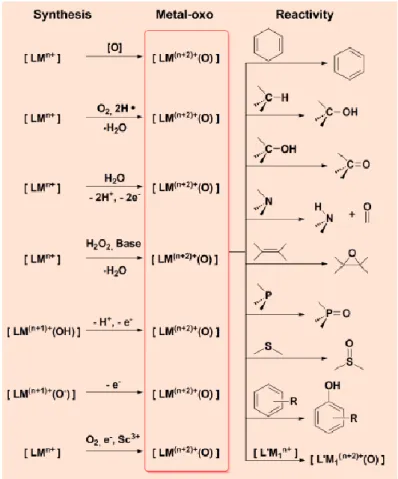 Figure 8. Synthesis of biomimetic high-valent metal-oxo complexes and their reactivity with different  substrates 