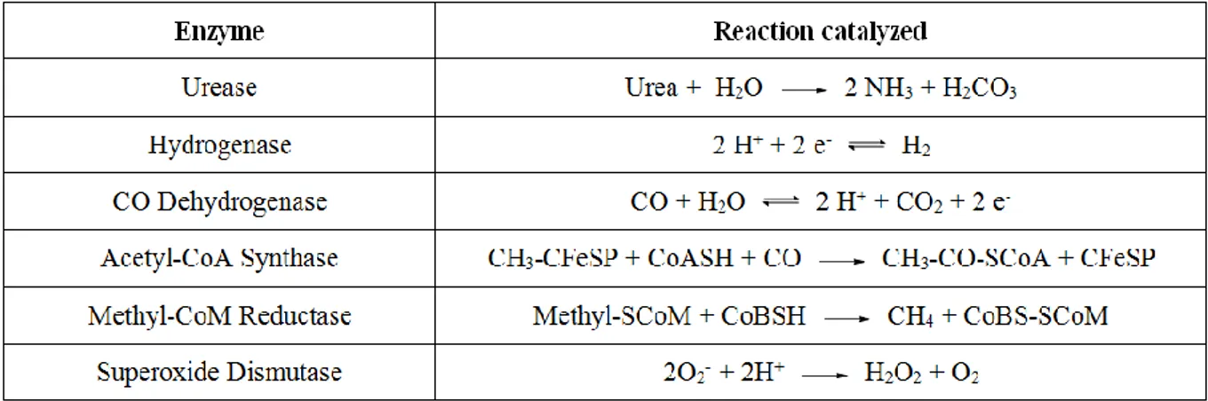 Table 2. Reactions mediated by nickel enzymes 