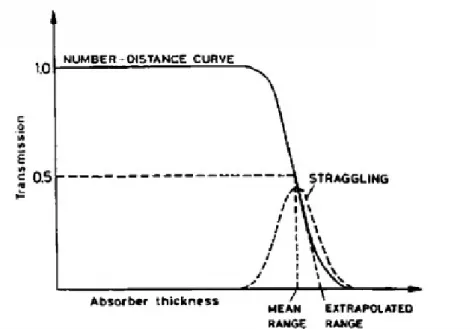Figura 2.2: tipica curva che rappresenta il rapporto particelle uscenti- uscenti-incidenti in funzione dello spessore del mezzo 
