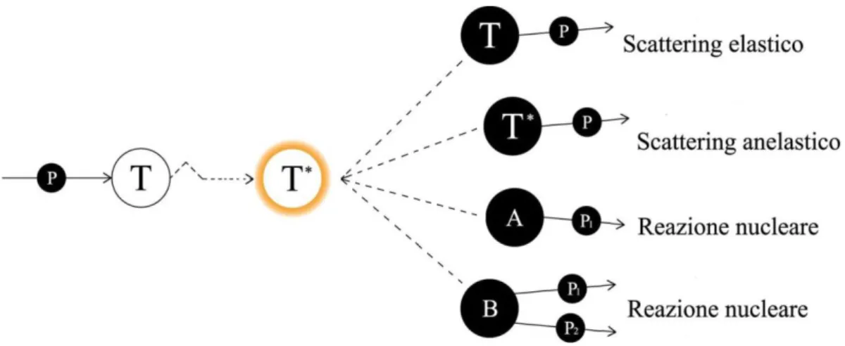 Figura 12: Interazioni di una particella con un nucleo bersaglio 