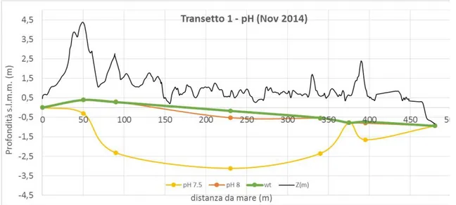 Figura 10: Isolinee di pH nel transetto n.1 nel periodo di Novembre 2014 