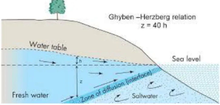 Figura 1: rappresentazione grafica del pricipio di Ghyben-Herzberg  (Enviromental Biogeograpy, 2005)