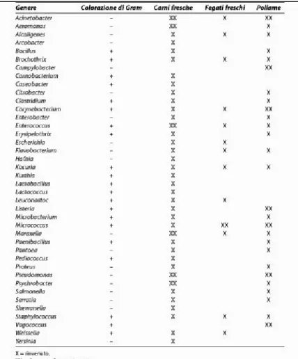 Tabella 2.1 Generi di batteri isolati con maggiore frequenza in carni di pollo (Jay  J